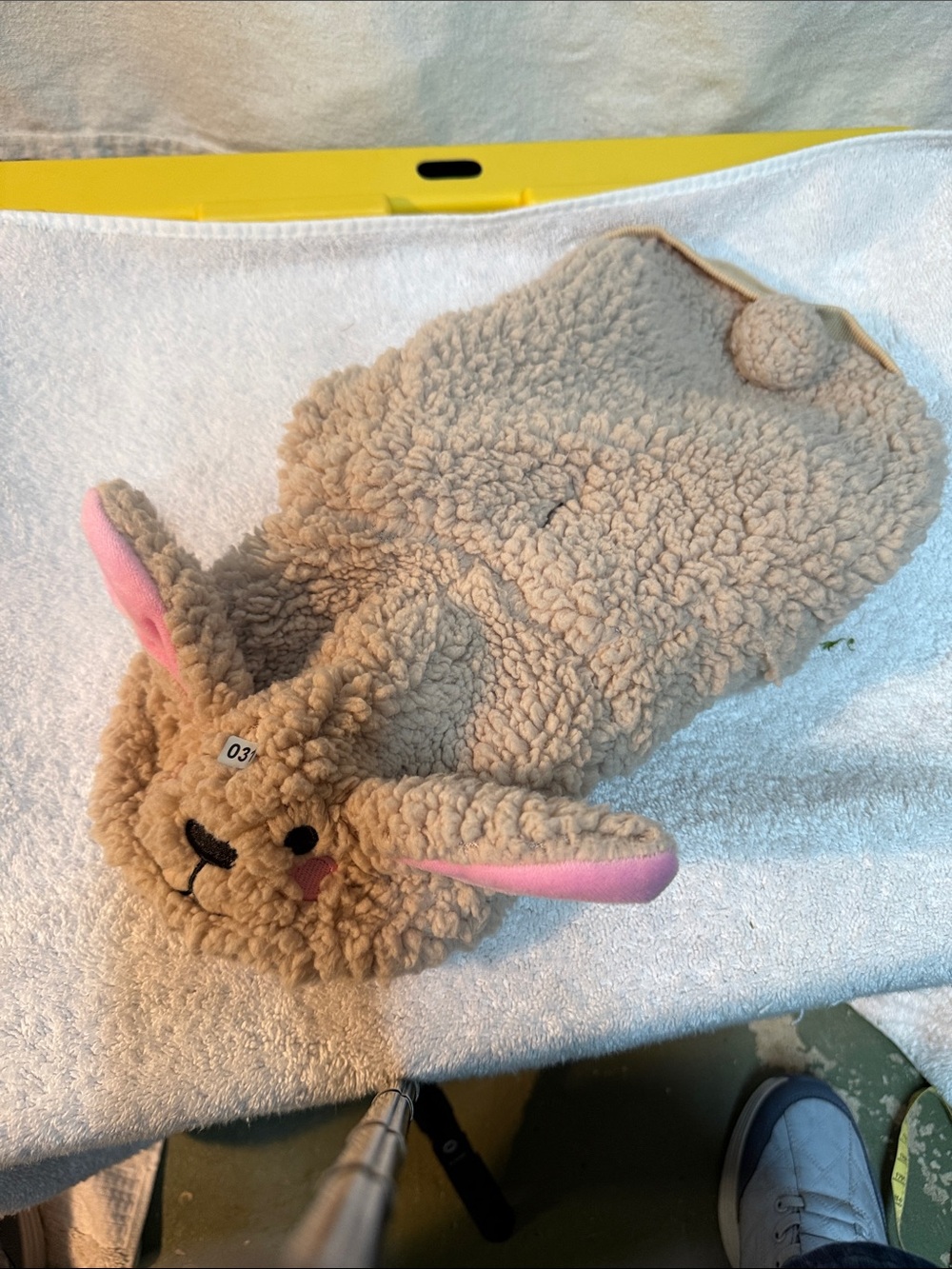 Cozy Beige Lamb Dog Coat with Pink Ear Accents